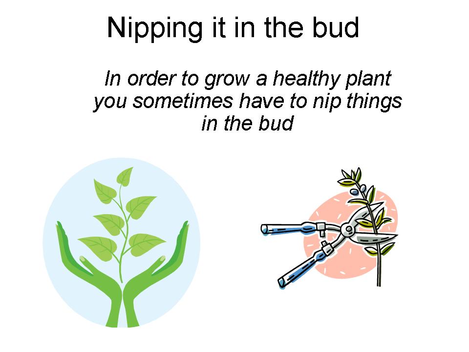 Nip something in the bud