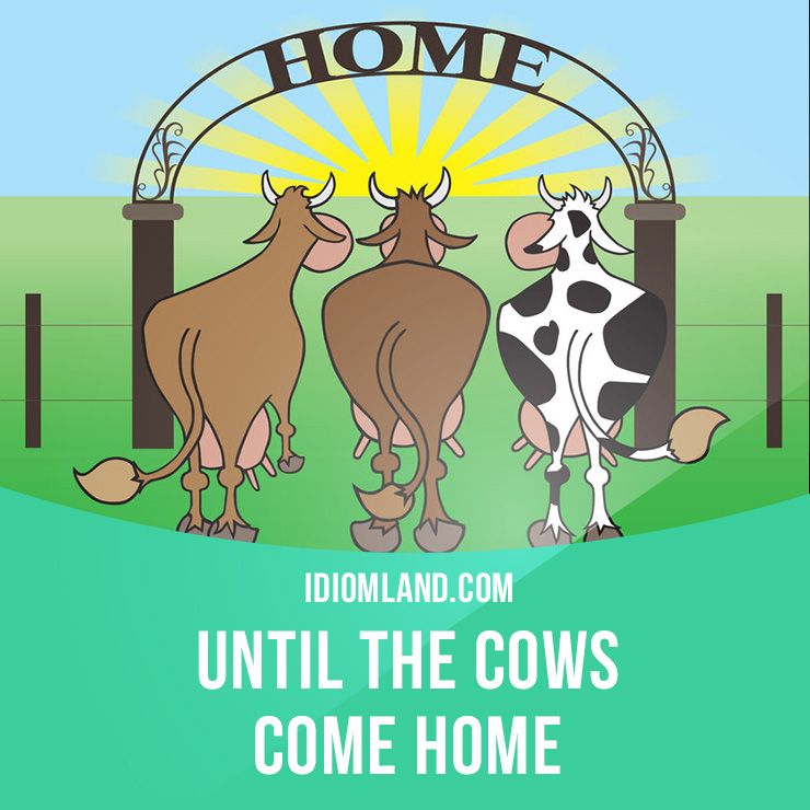 Until the cow comes home