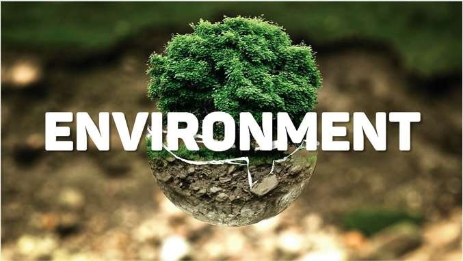 TỔNG HỢP TỪ VỰNG IELTS CHỦ ĐỀ ENVIRONMENT